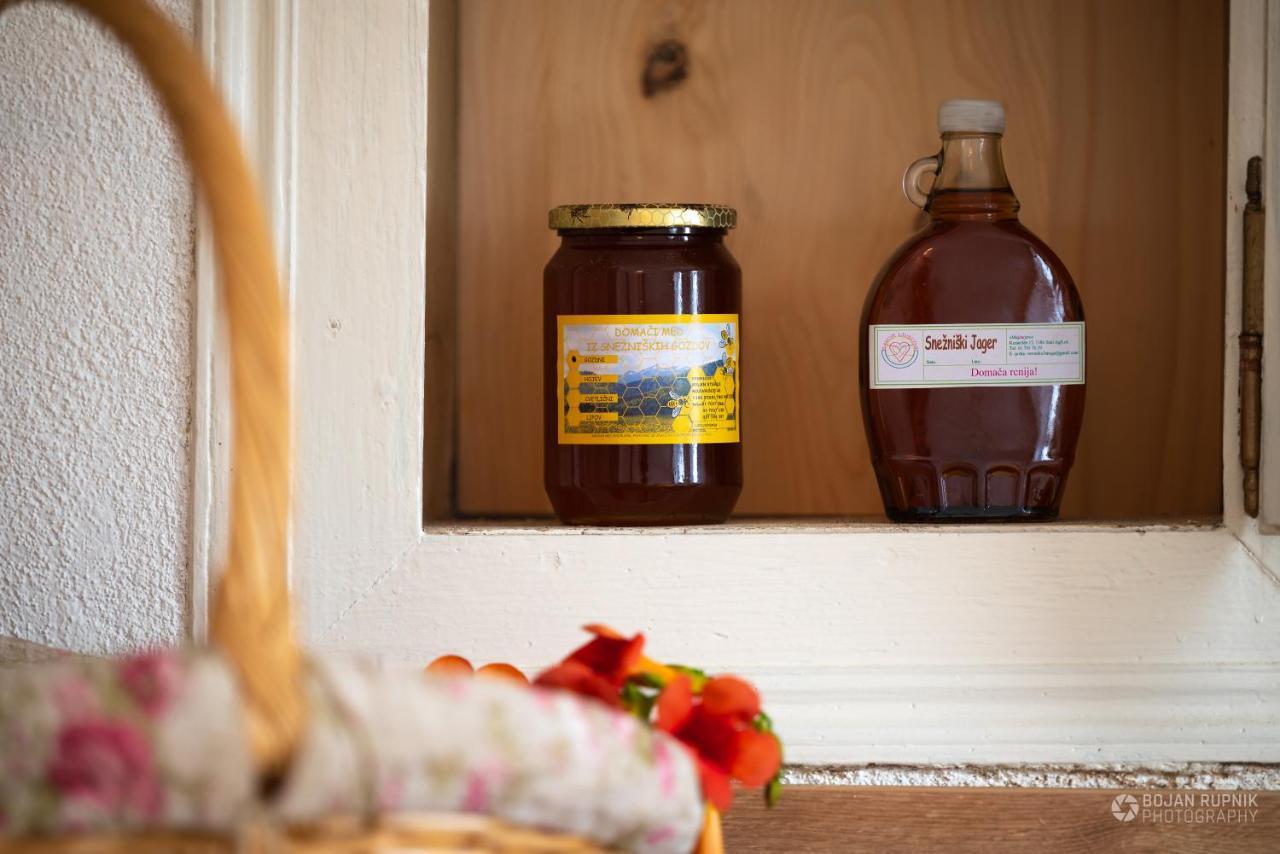 Cherry House - Cosy House - Ideal For Bear Watching, In The Neighborhood Of The Medieval Sneznik Castle Stari Trg pri Lozu 외부 사진