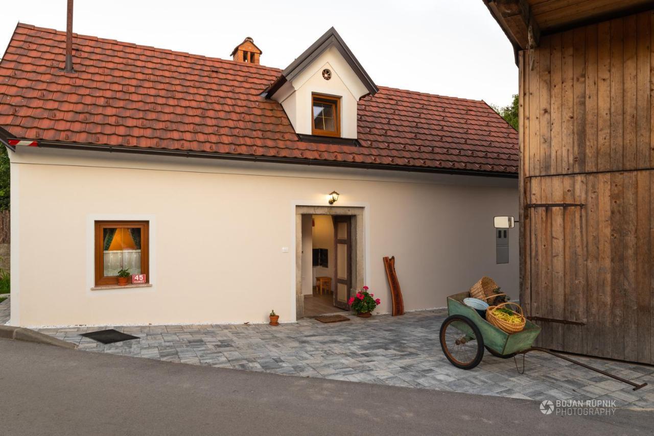 Cherry House - Cosy House - Ideal For Bear Watching, In The Neighborhood Of The Medieval Sneznik Castle Stari Trg pri Lozu 외부 사진