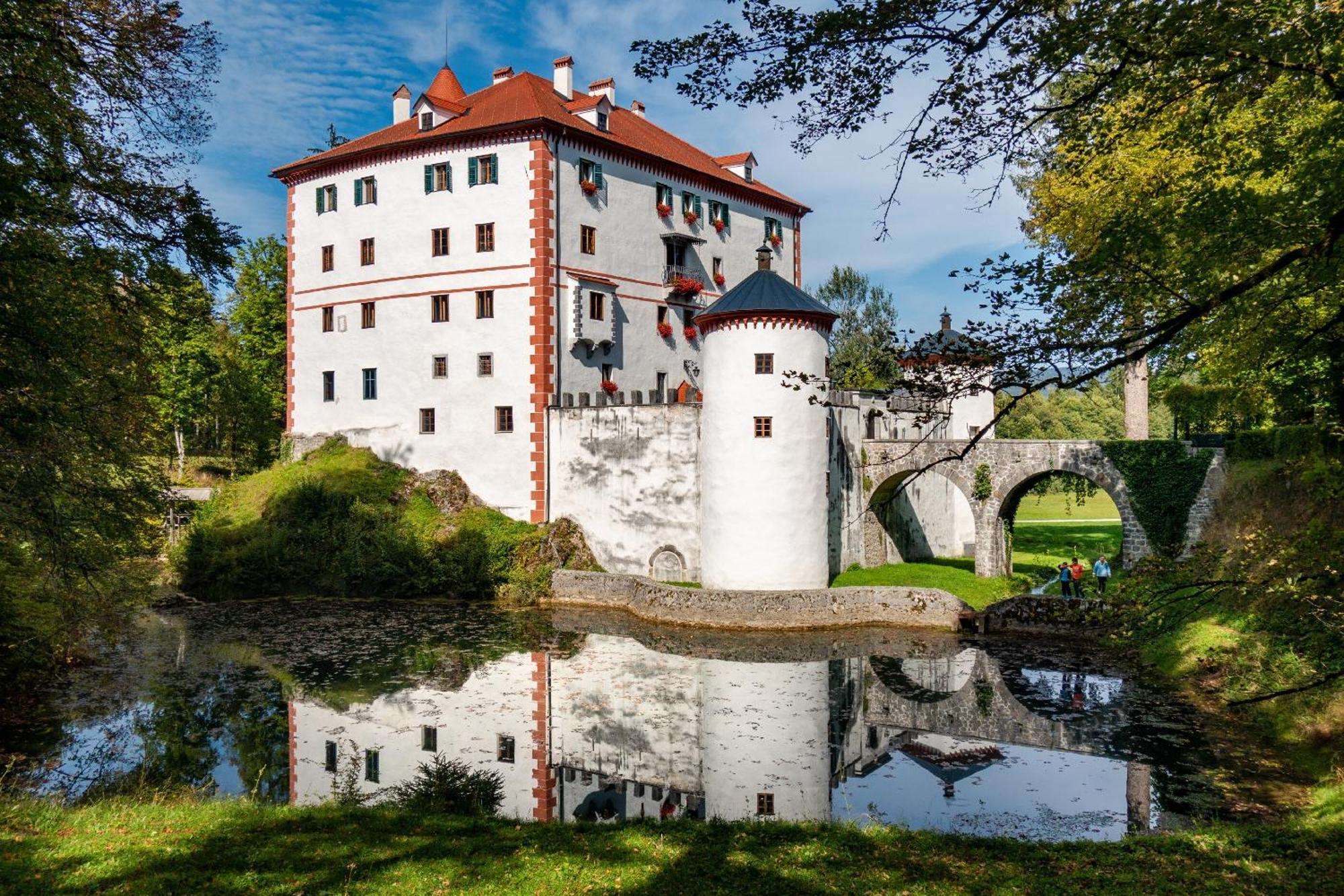 Cherry House - Cosy House - Ideal For Bear Watching, In The Neighborhood Of The Medieval Sneznik Castle Stari Trg pri Lozu 외부 사진